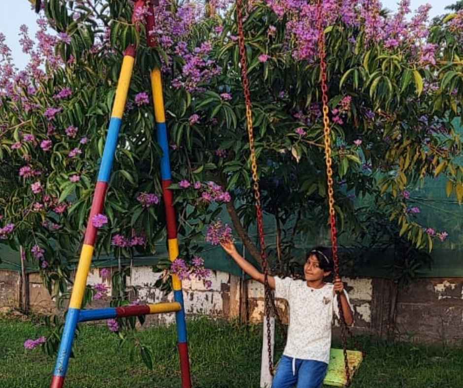 tezort family resort near tezpur university