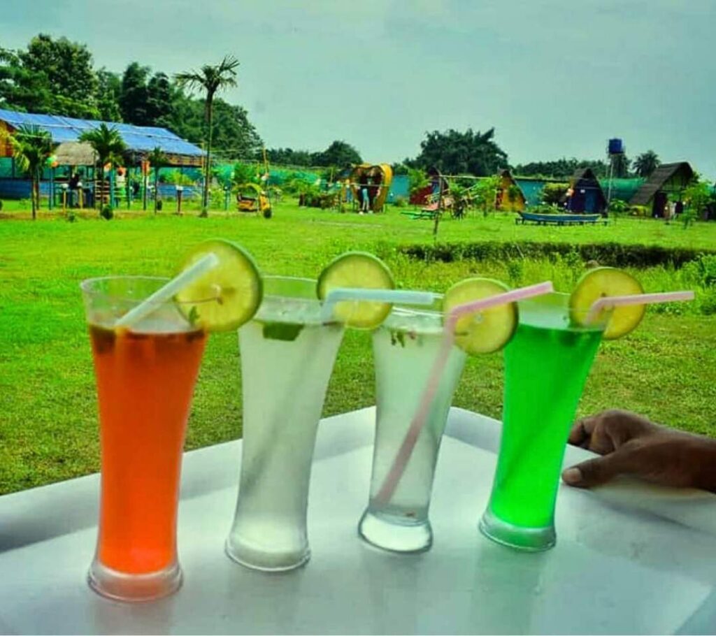 tezort- the village resort near tezpur university