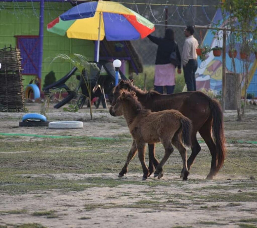 tezort the best family resort in tezpur