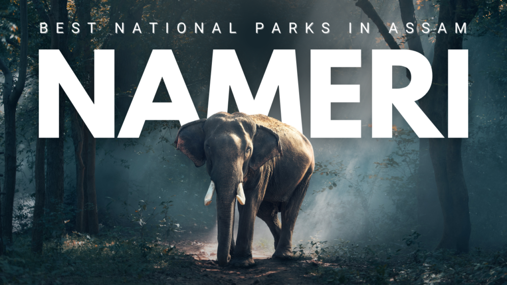 Nameri National Park near Tezpur Assam