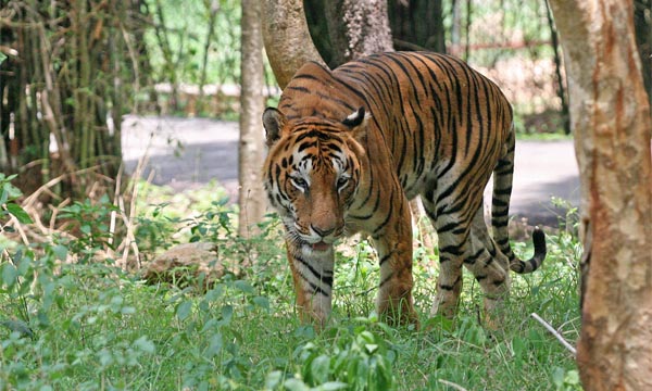 Tezpur tourist places